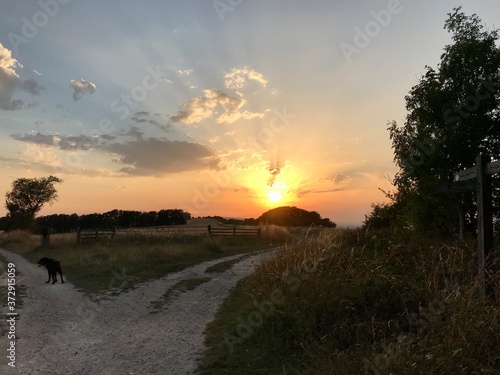 sunset on the road