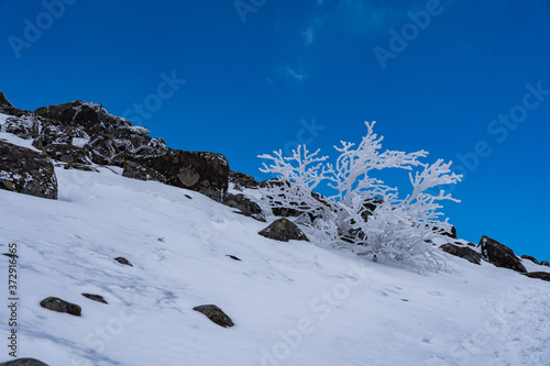 蓼科山　冬山 photo