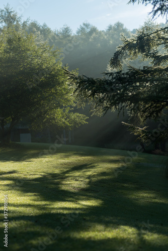 Sunlight above forest on Nagano camping site photo