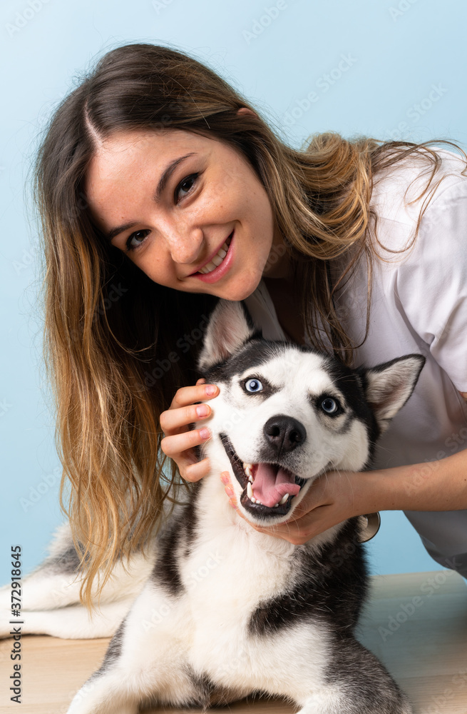 Veterinary doctor at vet clinic with Siberian Husky dog