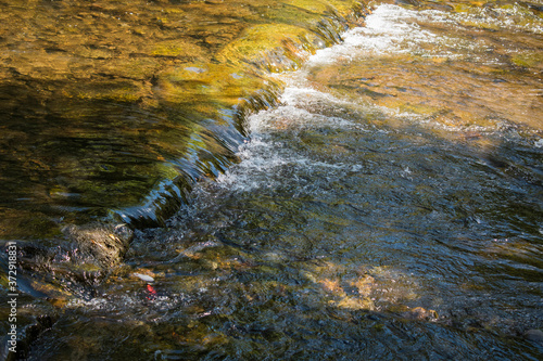 Fluss klares Wasser Steine