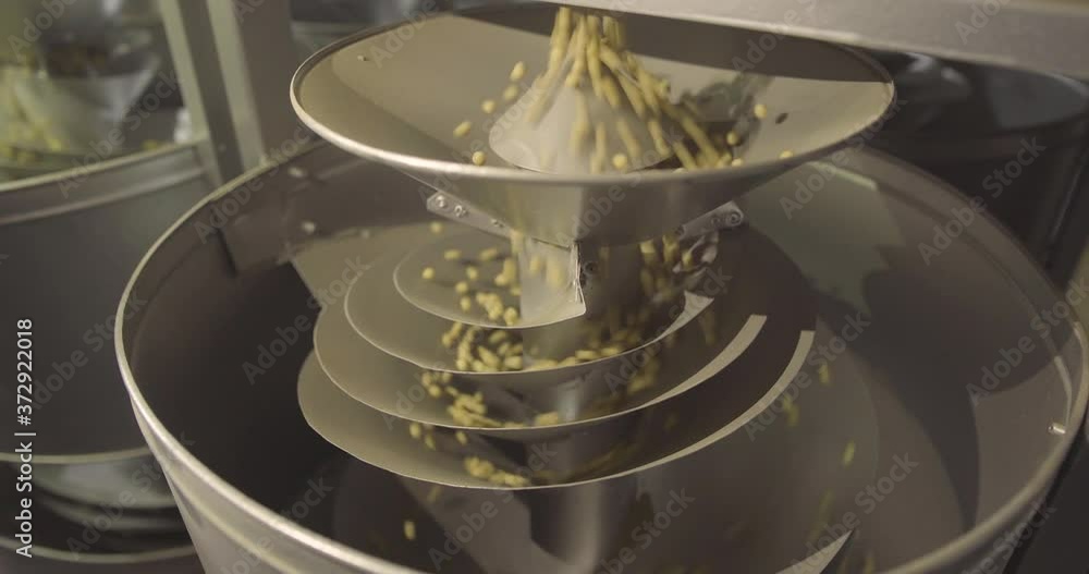 Agribusiness - Soya beans on the conveyor belt, grain processing, storage of already harvested grains - Agriculture Agribusiness - Soya beans on the conveyor belt, grain processing, storage of already harvested grains - Agriculture
