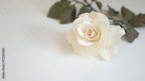 Paper Flower  White Rose  Green Leaves  with Copy Space.