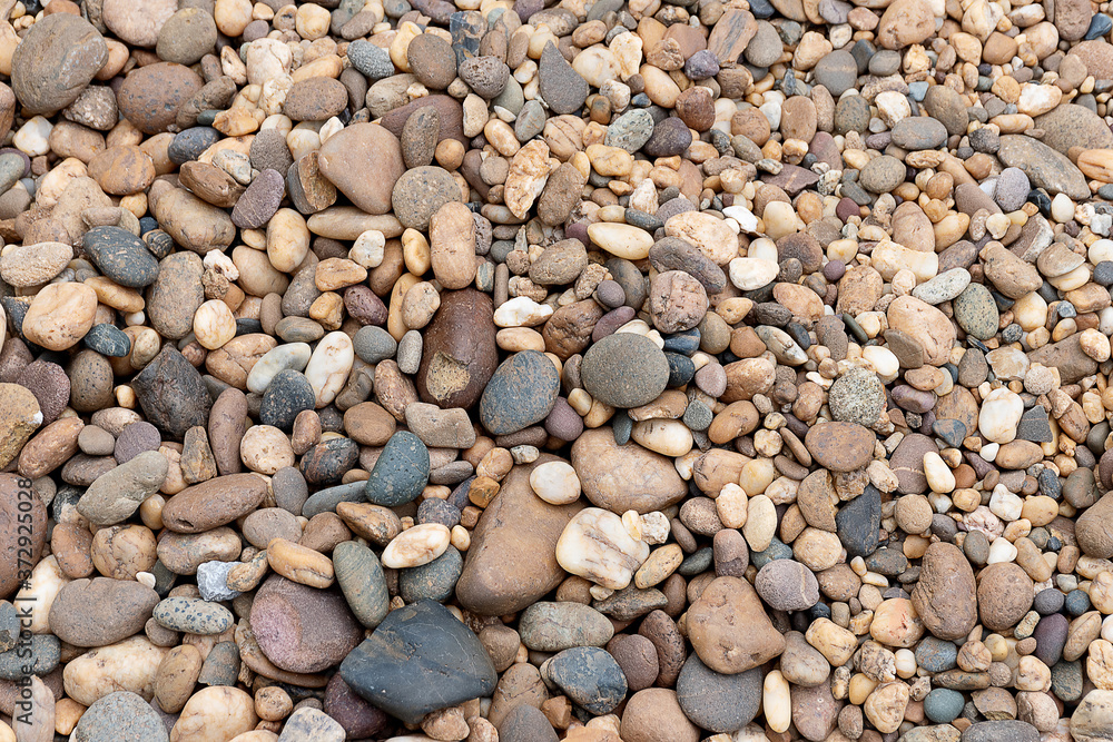 .Pebble of various colors, both small and large. .Pebble of various colors, both small and large.