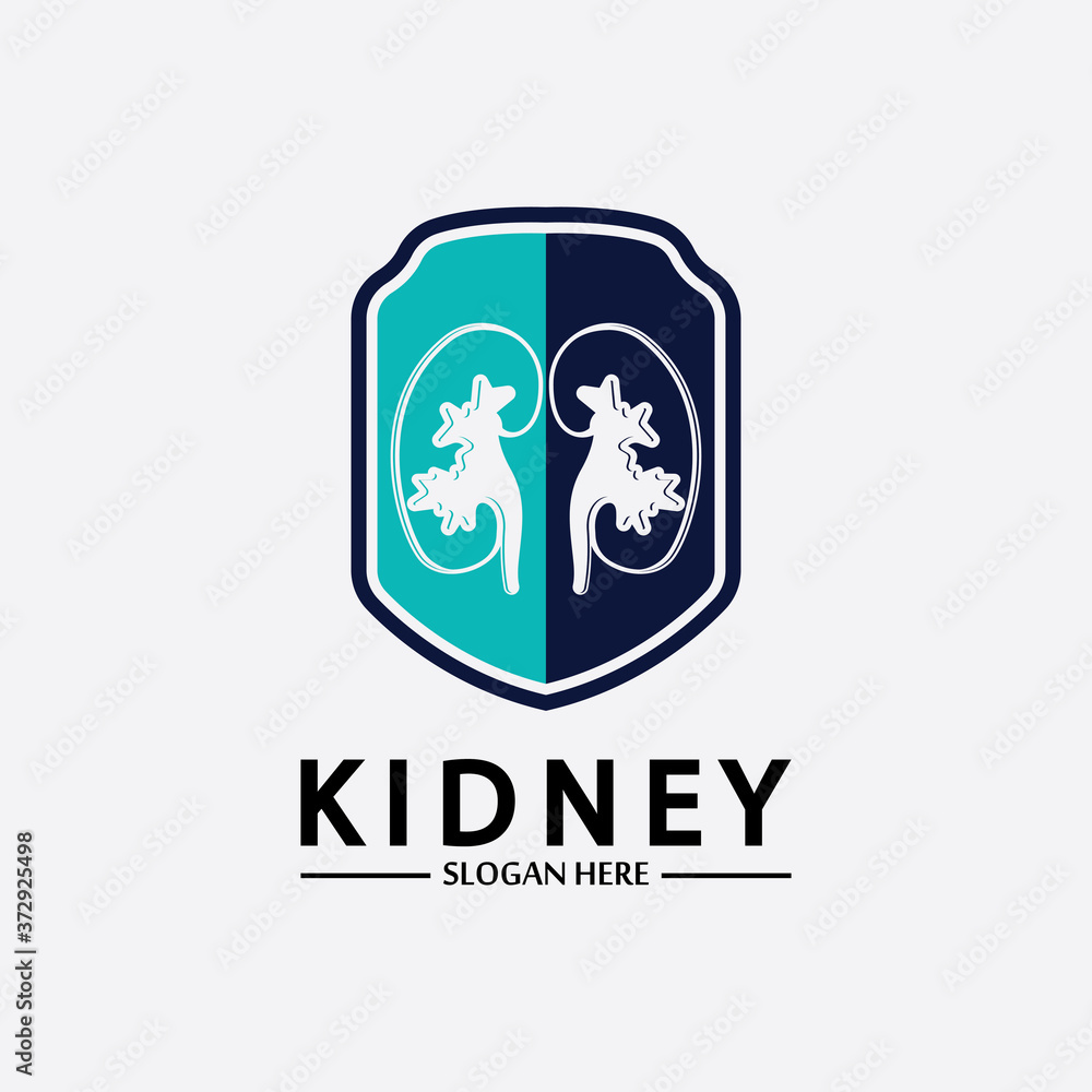 Kidney Shield Logo Template Design Vector, Emblem, Design Concept, Creative Symbol, Icon.