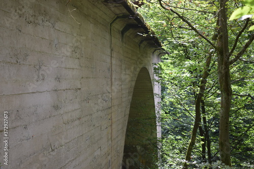 Brückenruine Ummigstalbrücke im Siegerland photo