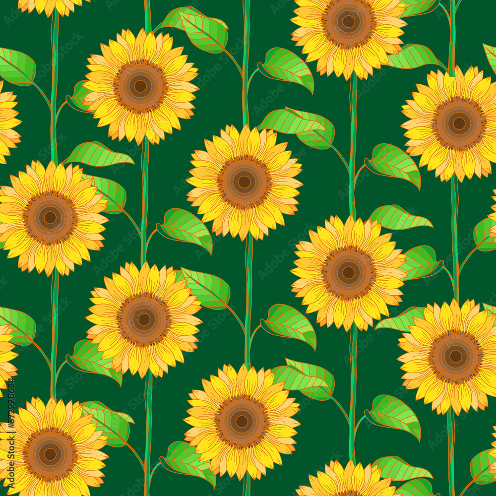 Sunflower flowers on a green background