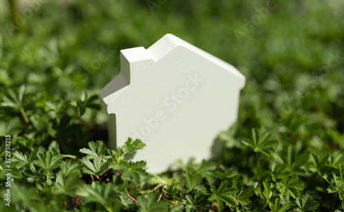 Eco Friendly House concept home