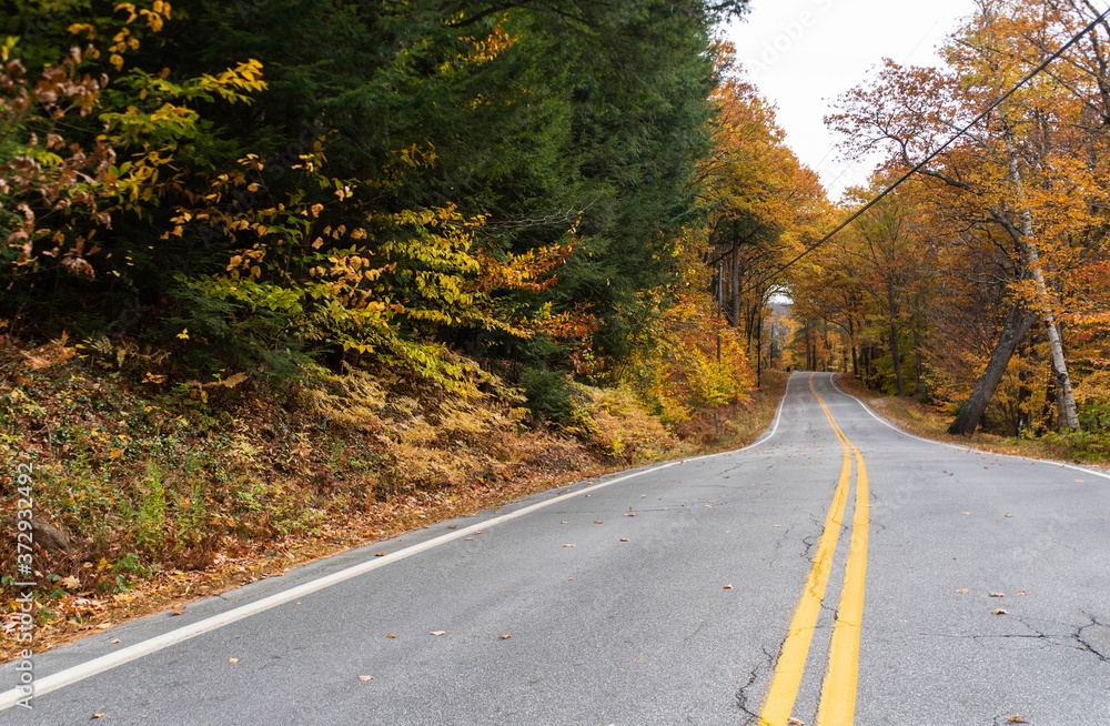 Gorgeous fall background in New England showing the leaves changing colors to orange, yellow, and red on a windy back road. Gorgeous fall background in New England showing the leaves changing colors to orange, yellow, and red on a windy back road.