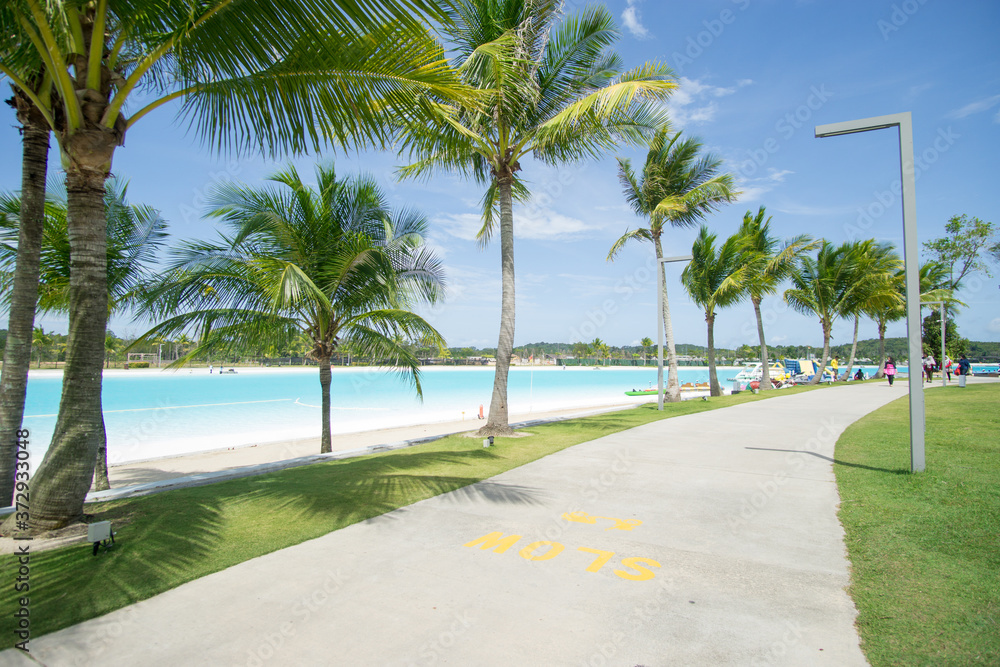 Fototapeta premium tropical beach with palm trees at lagoi, bintan
