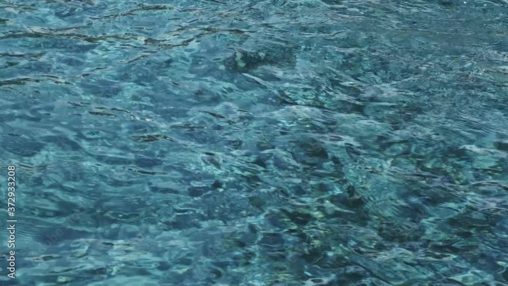 Reflection in a pool water, sunlight reflected. Reflection in a pool water, sunlight reflected.