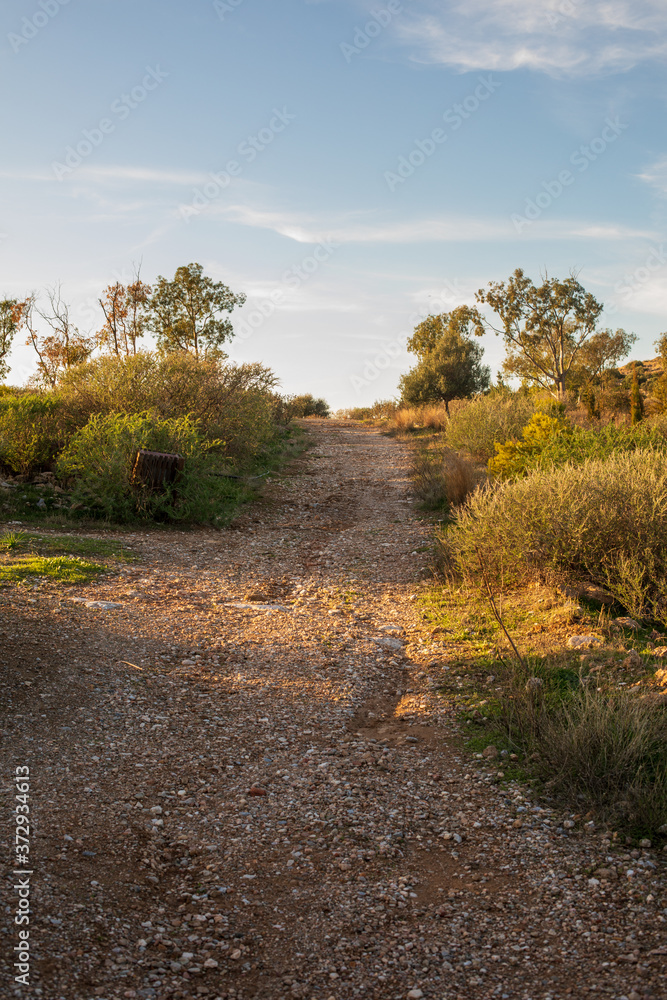 Fototapeta premium road in sunset