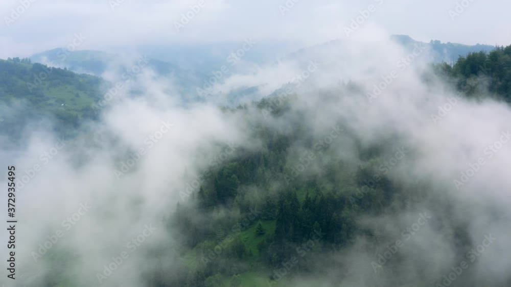 Forest wood fog nauture wild mist aerial mountains magic dark evening Forest wood fog nauture wild mist aerial mountains magic dark evening