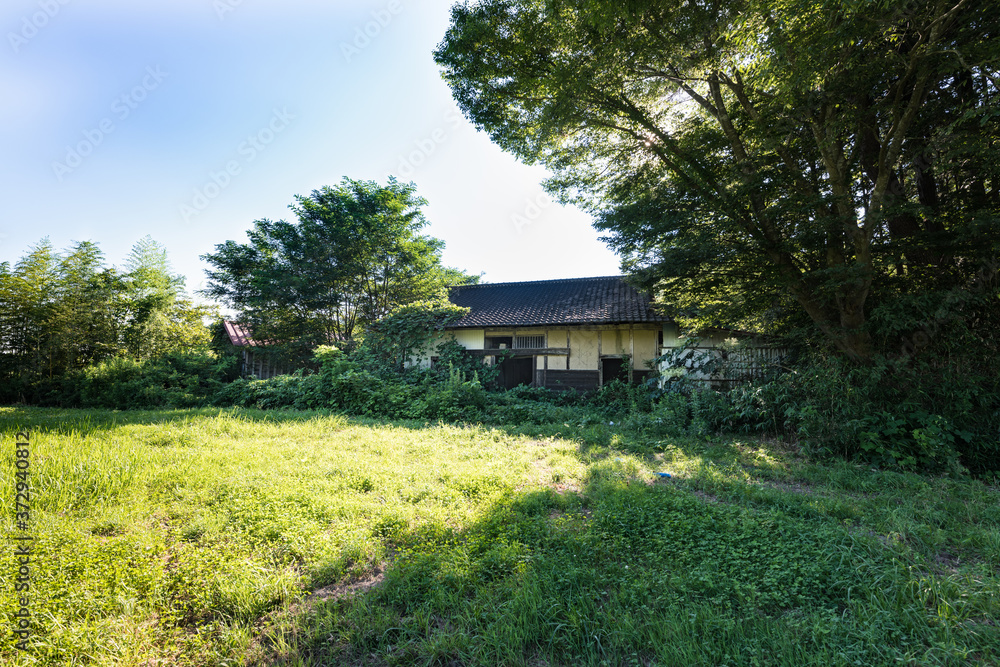 放棄され廃屋になった木造の建物