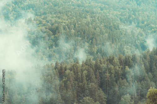 White smoke in the wooded taiga mountains from burning fire. photo