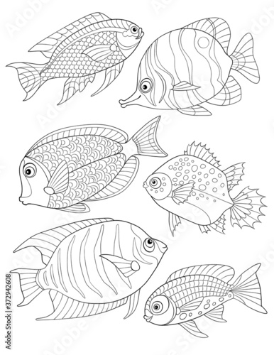 Coloring Page with collection of tropical fishes. Antistress adult coloring.