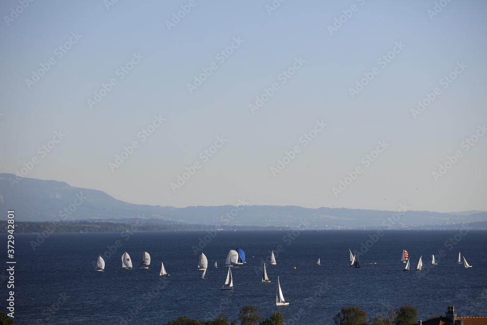 Sailboats prepare to race on the lake
