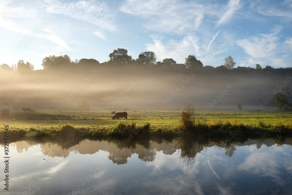 Early morning mist over the meadows on the River Wey in Godalming, Surrey, on a cold autumn morning.