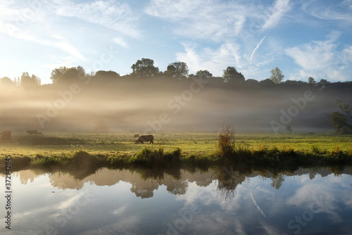 Early morning mist over the meadows on the River Wey in Godalming, Surrey, on a cold autumn morning.