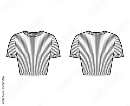 Ribbed cropped cotton-jersey t-shirt technical fashion illustration with scoop neck, short sleeves, close fit. Flat outwear sweater apparel template front back white color. Women men unisex knit top