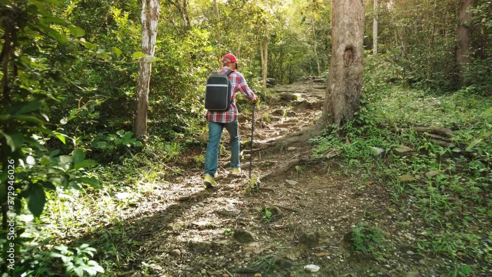 Happy senior man walking and relaxing in forest Happy senior man walking and relaxing in forest