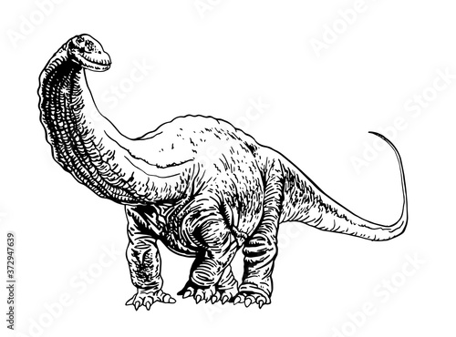 Graphical  diplodocus isolated on white background,vector illustration