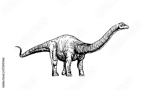 Graphical  diplodocus isolated on white background,vector illustration