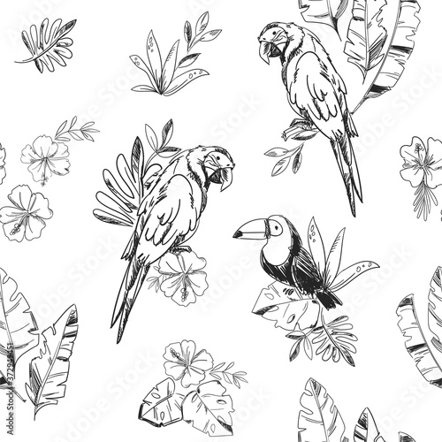 Sketch toucan bird and parrot with tropical leaves seamless pattern vector illustration