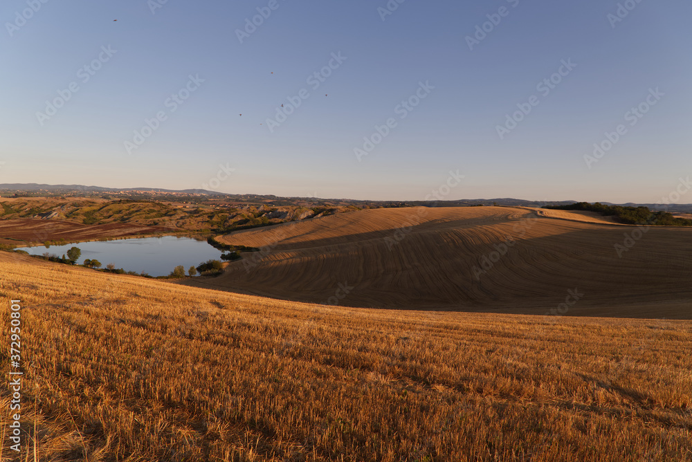 Tuscany landscape around Siena in the early morning Tuscany landscape around Siena in the early morning
