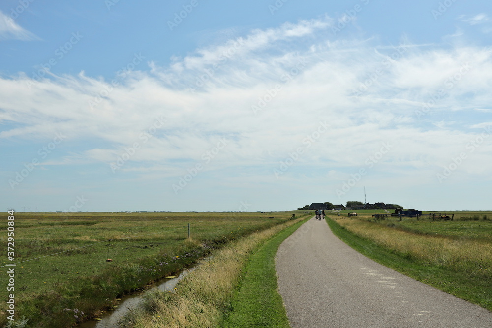 Landschaft an der Nordsee auf der Insel Hooge Landschaft an der Nordsee auf der Insel Hooge