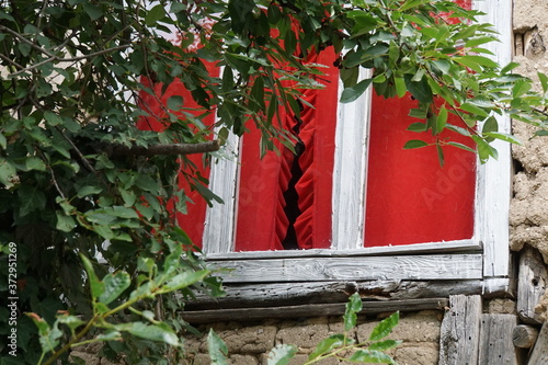 White window with red curtains partially hidden by trees