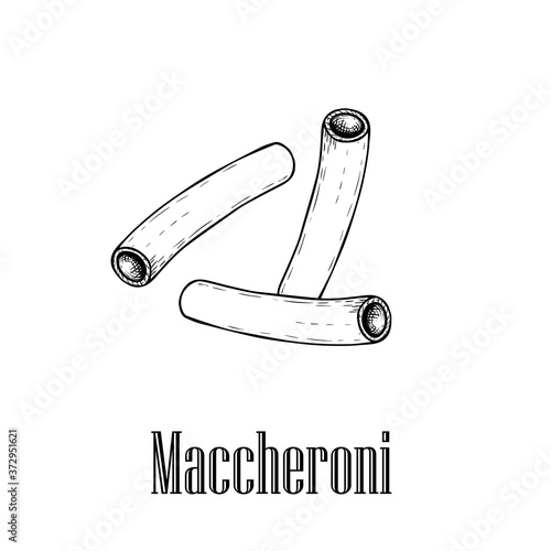 Italian pasta macaroni (maccheroni). Hand drawn sketch style illustration of traditional italian food. Best for menu designs and packaging. Vector drawing isolated on white background.