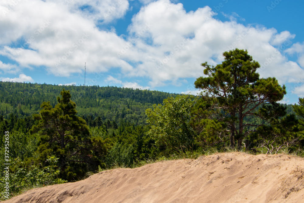 Naklejka premium Sand Dune Skyline 2