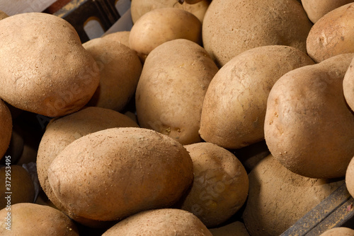 fresh tuber potatoes at a farmers market in Italy in close-up