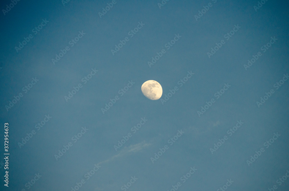 moon moon