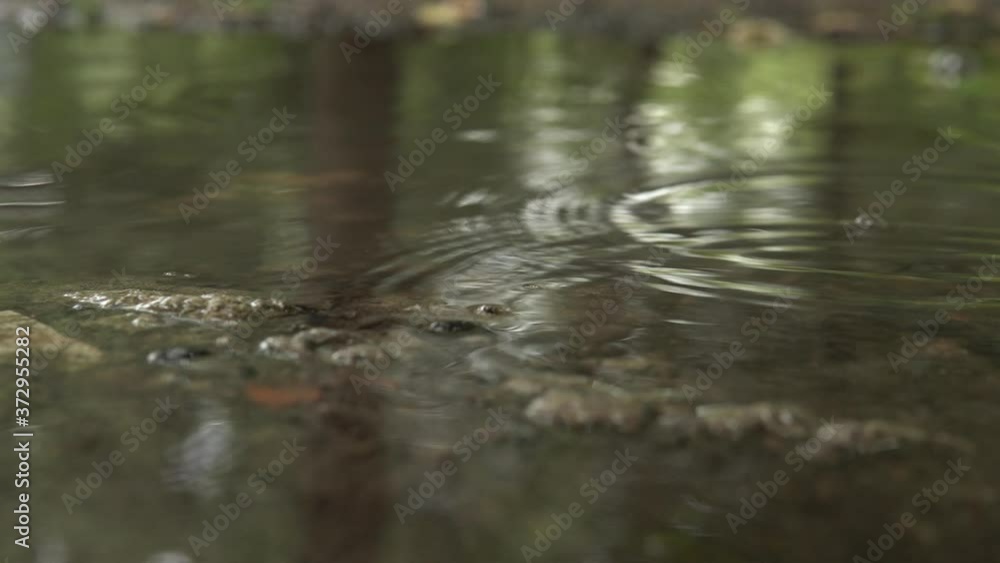 Raindrops make small bubbles in puddles.Rain falling drop in puddle water.4k. Raindrops make small bubbles in puddles.Rain falling drop in puddle water.4k.