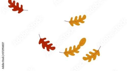 Colorful autumn leaves falling motion graphics