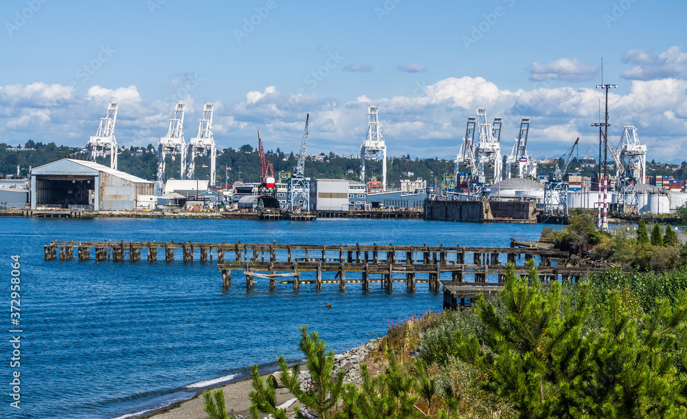 Port Docks Cranes 6