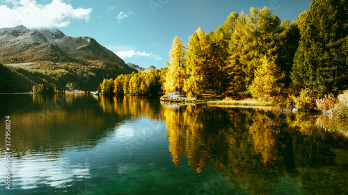Fototapeta Naklejka Na Ścianę i Meble -  Yellow larches and alpine lake in fall, Swiss alps
