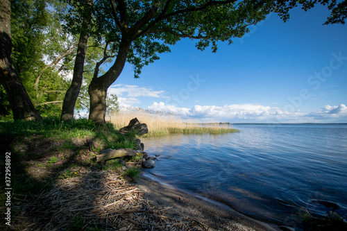 Niegocin jezioro © Stanisaw