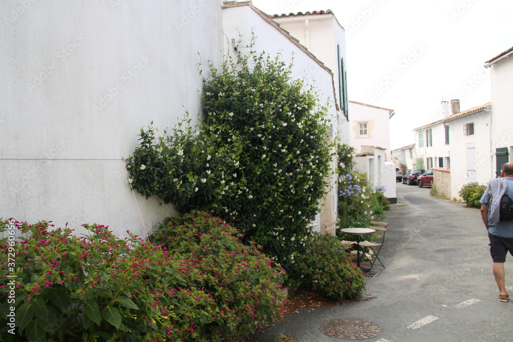 Naklejka premium Ile de Ré