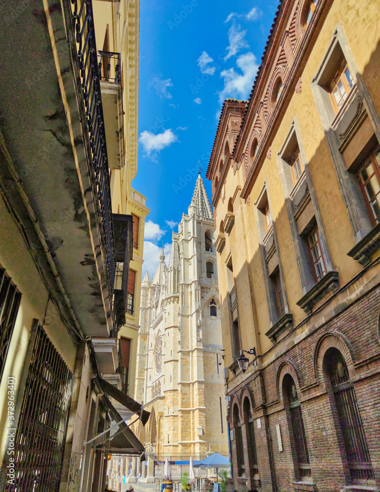 Calle Mariano Dominguez Berrueda y catedral gotica de Leon