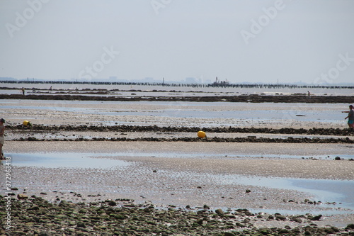 Vendée La Tranche sur mer