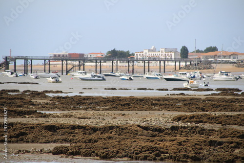 Vendée La Tranche sur mer