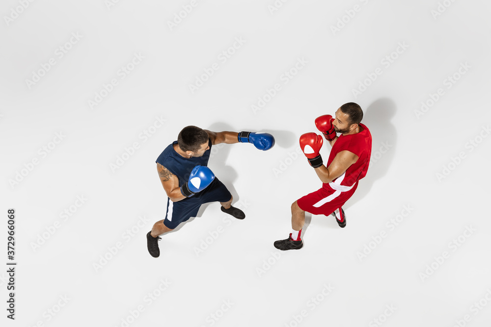 Two professional boxers boxing isolated on white studio background, action, top view. Couple of fit muscular caucasian athletes fighting. Sport, competition, excitement and human emotions concept. Two professional boxers boxing isolated on white studio background, action, top view. Couple of fit muscular caucasian athletes fighting. Sport, competition, excitement and human emotions concept.