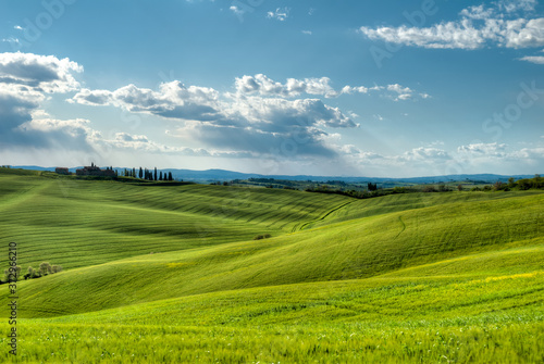beau paysage de colline en  Toscane en Italie au printemps avec champ de bl  