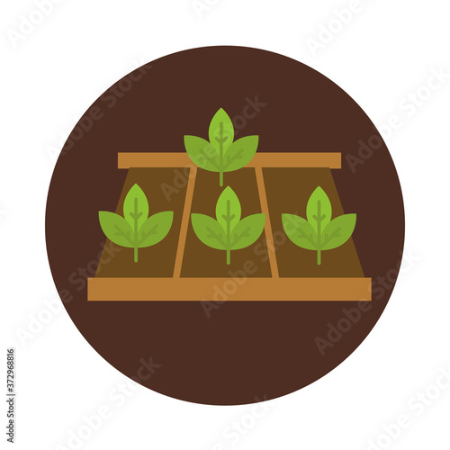 agriculture and farming plants growing bed block and flat icon