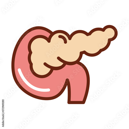 human body pancreas anatomy organ health line and fill icon