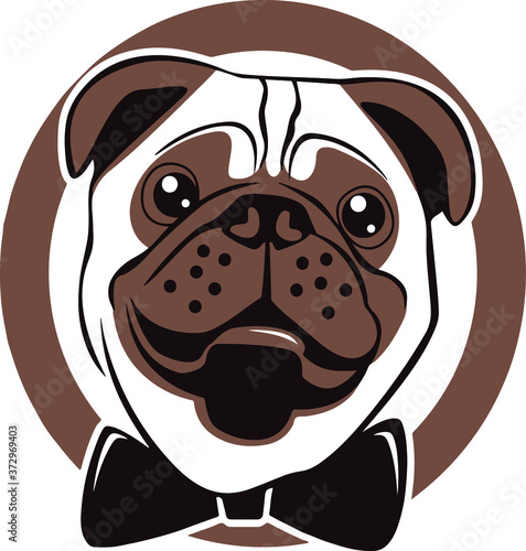 Cartoon pug dog with a bow tie isolated on a vector image