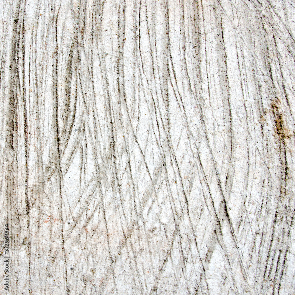 The lines on the rough gray cement floor. The lines on the rough gray cement floor.